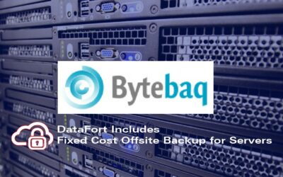 DATAFORT Fixed the cost of backup with Bytebaq Professional