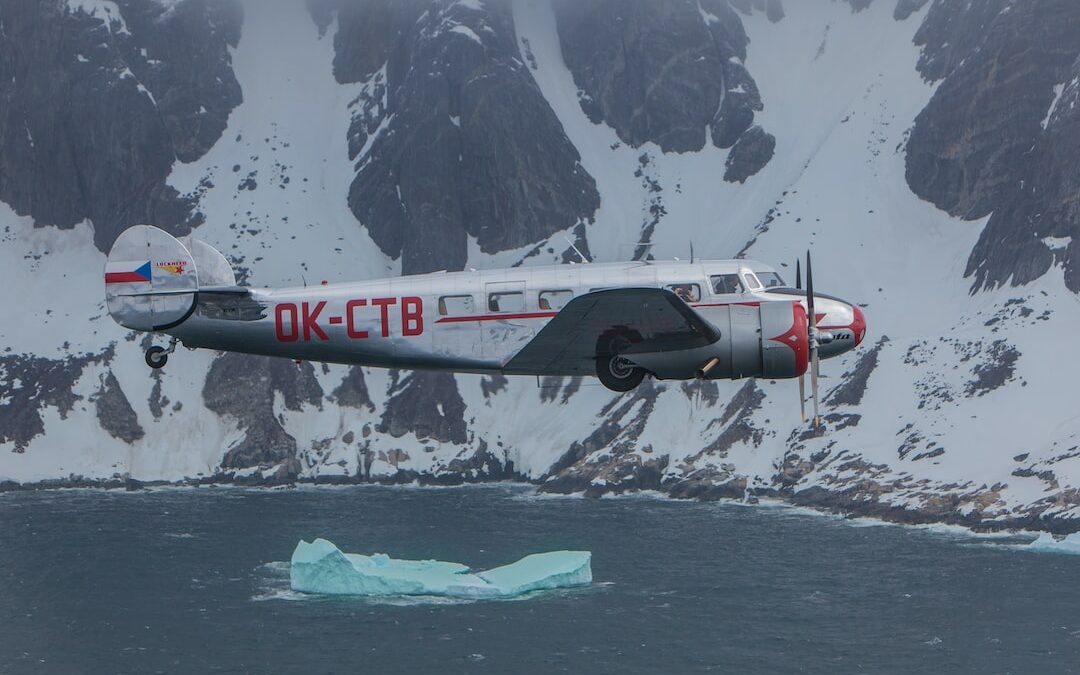 The Global Appeal of Popular Sports: Exploring Table Tennis to Rugby