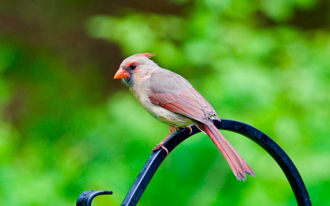 Empowering Consumers in the Digital Financial Landscape: Unleashing the Potential of Data Sharing