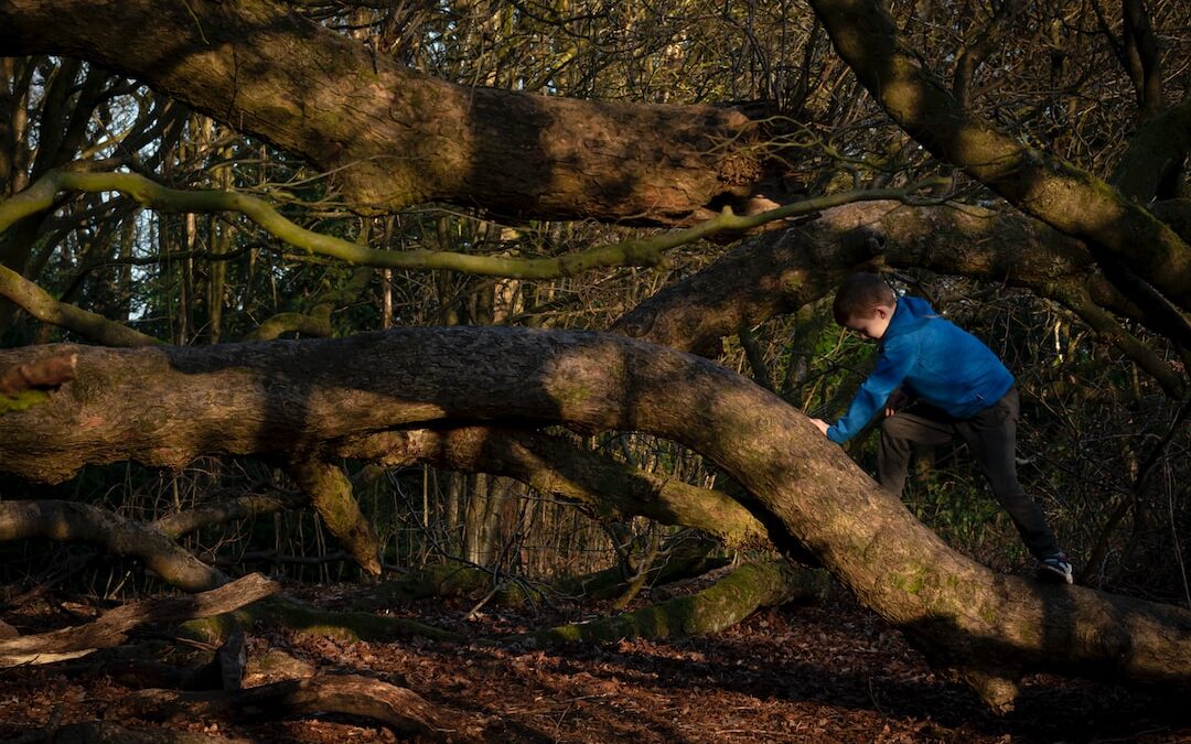 Unveiling the Secrets to Secure and Thrilling Online Casino Evolution