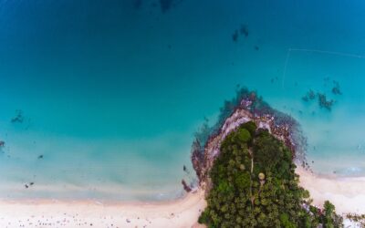 Thales and Google Cloud Unite: Pioneering the Future of Cloud Data Security