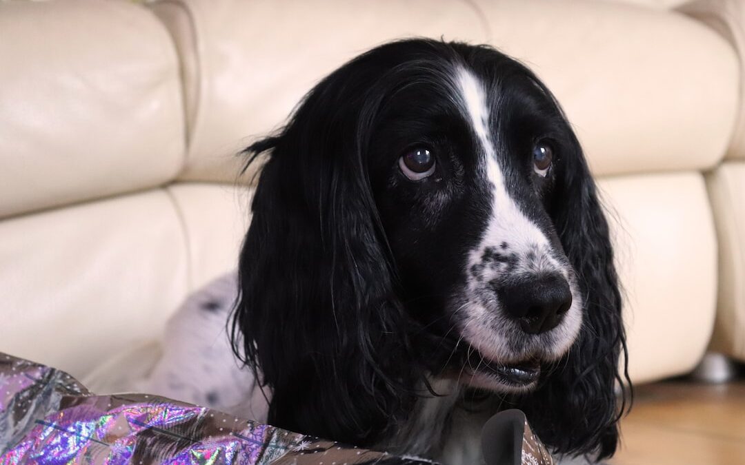 Exploring Axel Springer’s Move to AI Technology in Journalism: A Glimpse into the Future of Media