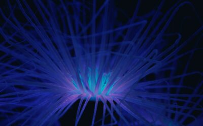 Revolutionizing Fly Control: Unleashing the Power of Artificial Intelligence and Blue Traps