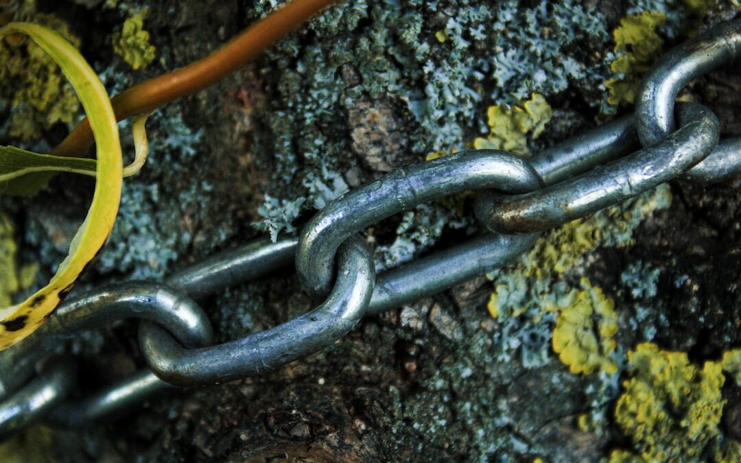 Emerging Peril: The Menace of Supply Chain Attacks Targeting Corporations