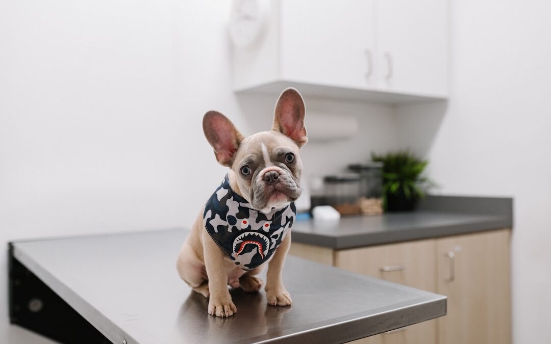 The Unveiling of the Satoshi Nakamoto Enigma: Dr. Craig Wright Emerges Victorious in Libel Suit Against Peter McCormack.