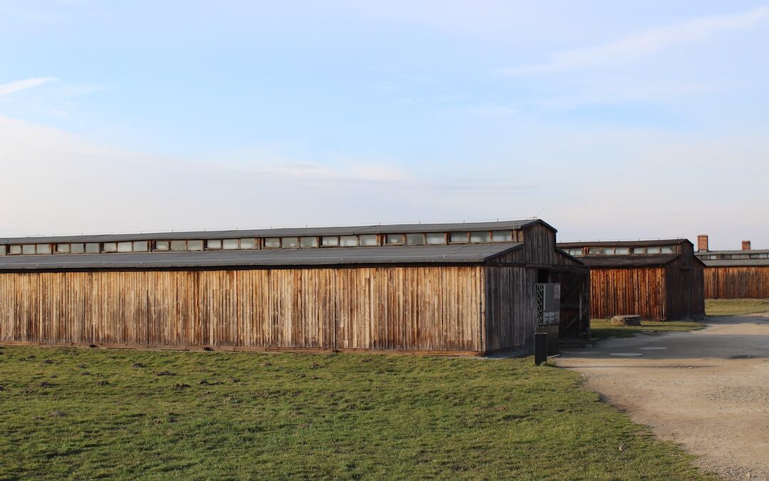 Unveiling Triumph of the Spirit: An Enthralling Expedition into Auschwitz via Virtual Reality