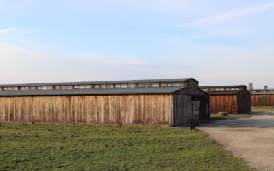 Unveiling Triumph of the Spirit: An Enthralling Expedition into Auschwitz via Virtual Reality