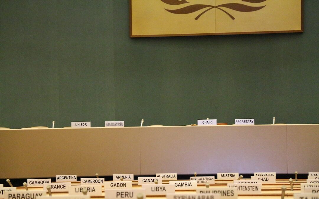 Shaping the Future of Artificial Intelligence: The AI Summit and UN Security Council Convene