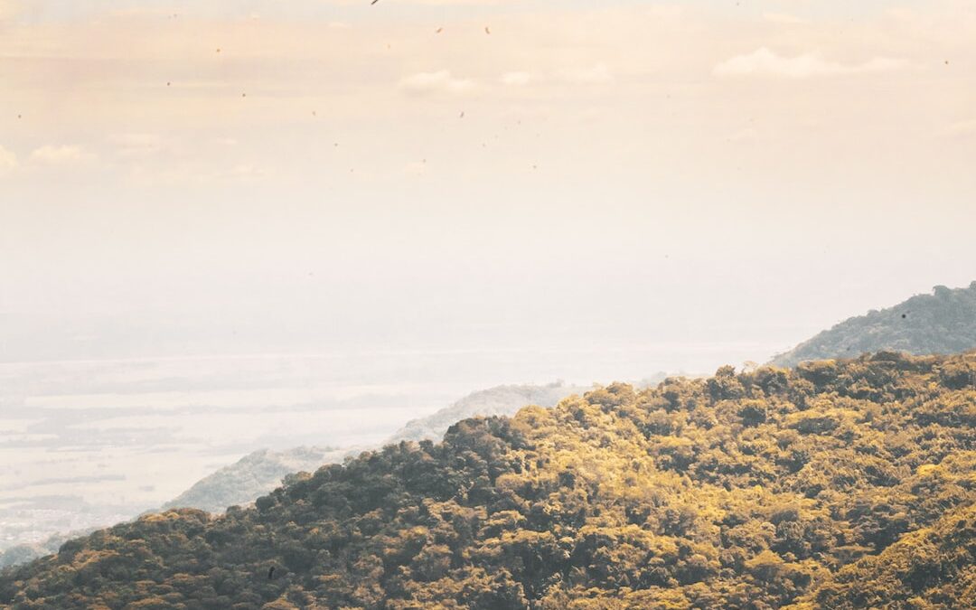 Data-Sharing Scandal: Tax Firms Embroiled in Privacy Breach with Meta