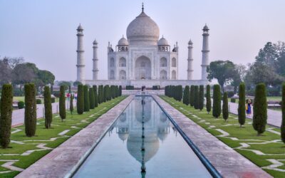 Inspiring Stories of Kindness and Leadership Amidst Turbulent Times