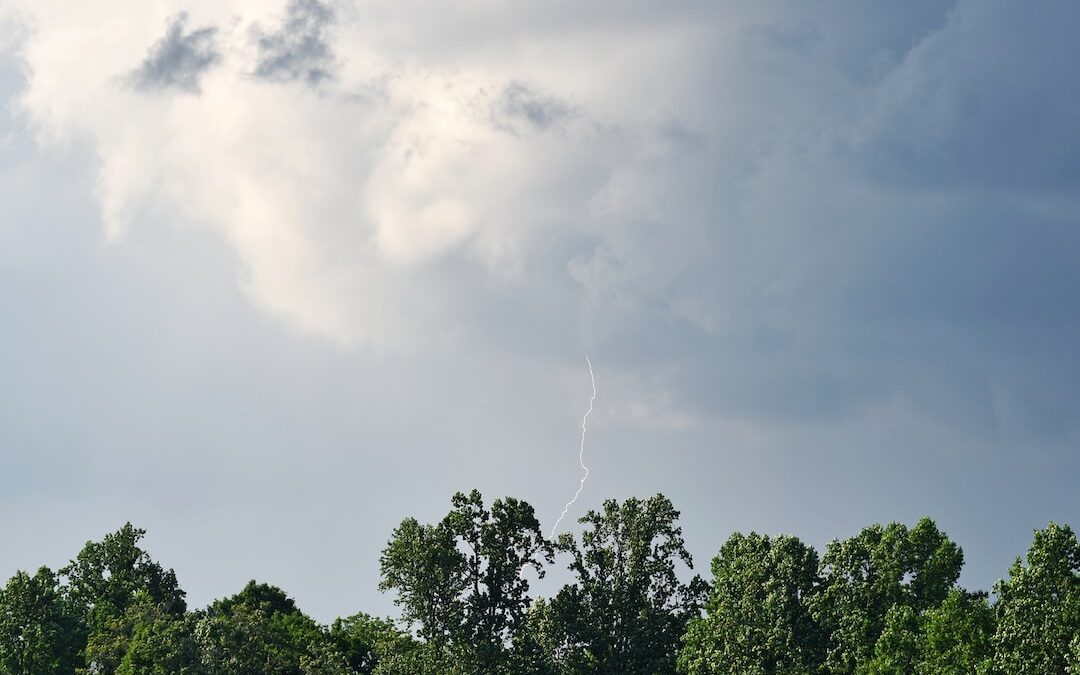 Revolutionizing the Business Landscape: Binarii Labs and Ian Madigan Spearheading the Fusion of Technology and Talent