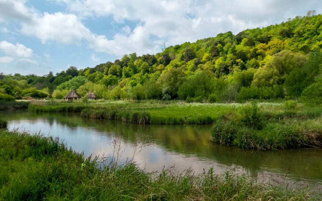 Bengaluru: A Flourishing Epicenter of UK-India Scientific Advancement and Collaboration