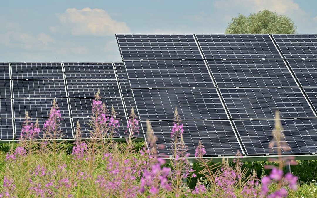 Unveiling the Enigmatic Secrets of the Sun: Harnessing the Potential of AI