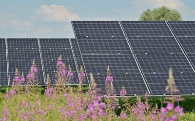 Unveiling the Enigmatic Secrets of the Sun: Harnessing the Potential of AI
