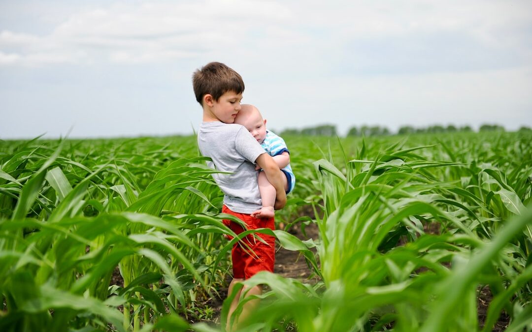 The Influence of Generational Differences on Cybersecurity Habits: Unveiling the Password Paradox