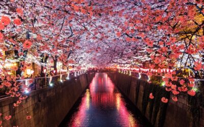Bridging the Digital Skills Gap: Japan’s Ambitious Strategy