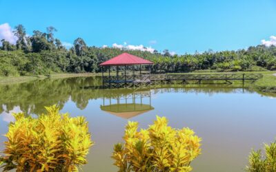 Transforming Public Administration in Malaysia: The Revolutionary Impact of AI on the Civil Service