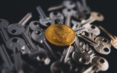 Blockchain Logistics Association BITA Partners with GBBC: Revolutionizing Global Supply Chain Operations
