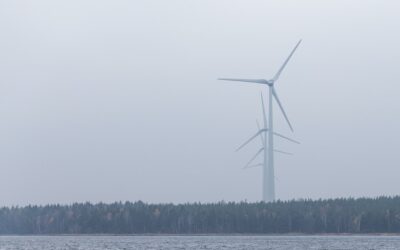Revealing the Environmental Consequences: Uncovering the Unseen Expenses of AI