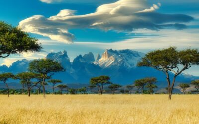 South Africa’s Strategic Measures Safeguarding Digital Asset Investors and Fostering Industry Expansion