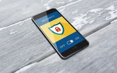 Striking Equilibrium: Navigating Background Checks, Privacy, and Safety in the Workplace