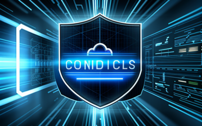Securing APIs: Safeguarding Your Cloud-Based Domain