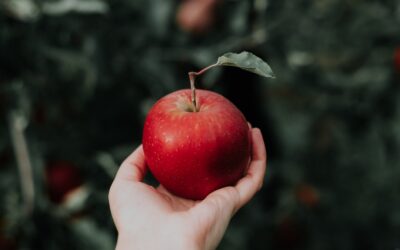 The Implications of Apple’s App Store Guidelines on Innovation and Decentralized Technologies