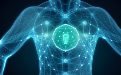 Securing Patient Information: Establishing a Safer Healthcare Network
