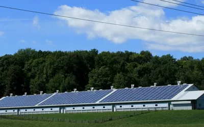 Greenverse Partners Ltd Spearheads Renewable Energy Innovation with Sustainable Tech Solutions