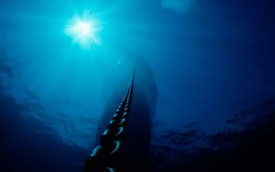 Global Connectivity Disrupted by Attacks on Red Sea Undersea Cables, Prompting Concerns