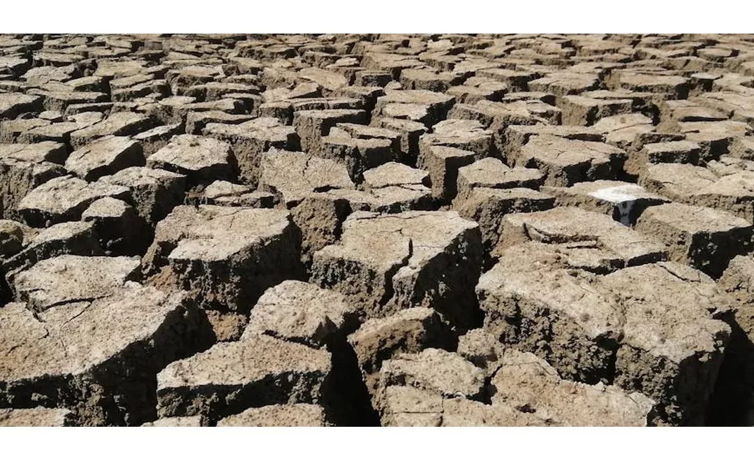 AI: A New Weapon in the Fight Against Desertification