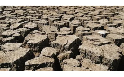 AI: A New Weapon in the Fight Against Desertification