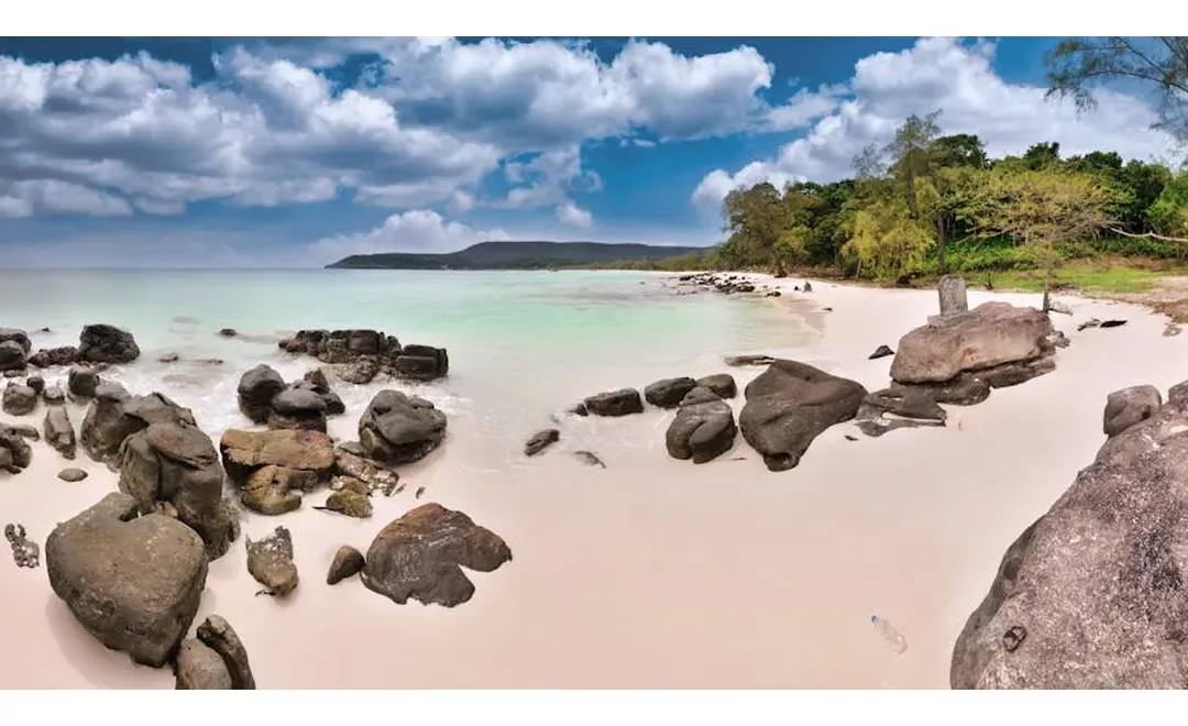 Renewing Koh Tao: Youth-Led Coral Rescue Efforts