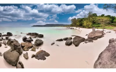 Renewing Koh Tao: Youth-Led Coral Rescue Efforts