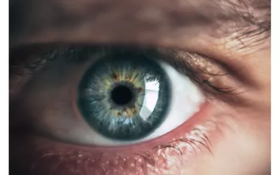 Transforming Child MRI Scans: Eye Tracking and VR Lead the Way