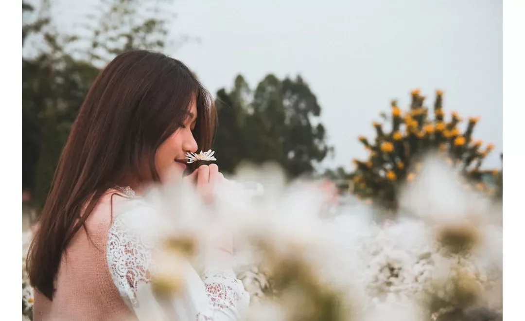 Exploring the Link Between Smell and Depression: A Closer Look