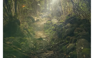 ForestSAT 2024: Pioneering Forestry Tech in Australasia